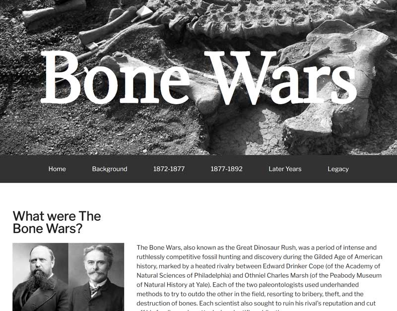 Screenshot of Bone Wars